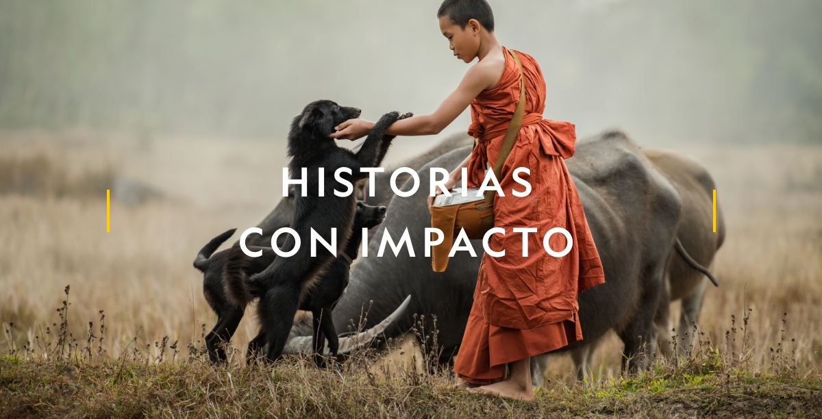 Historias con impacto