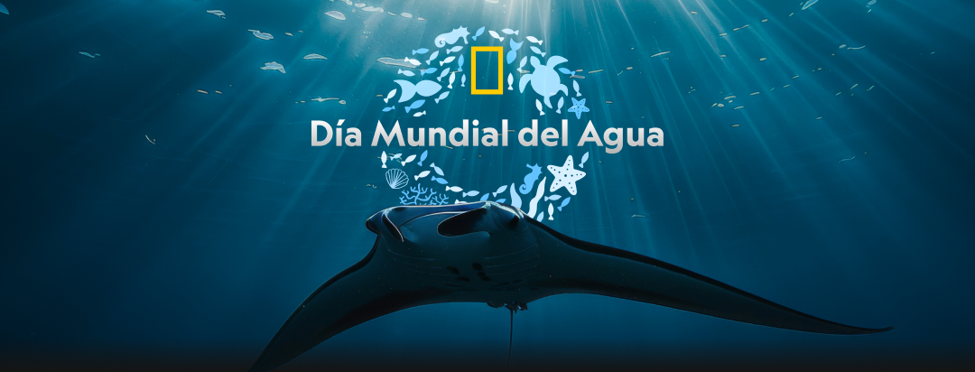 Dia del agua