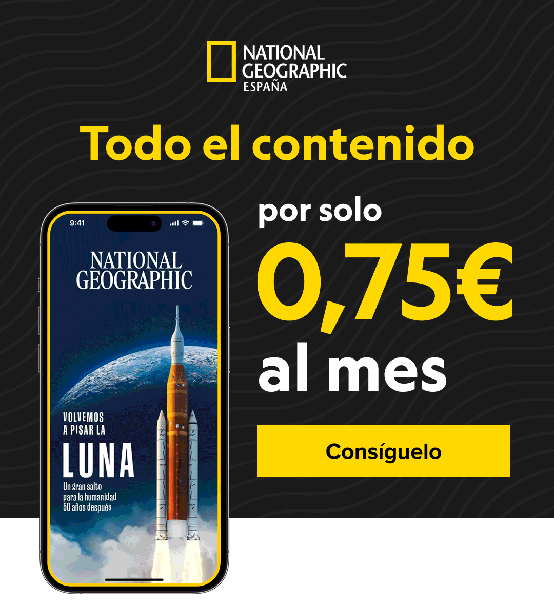 oferta especial