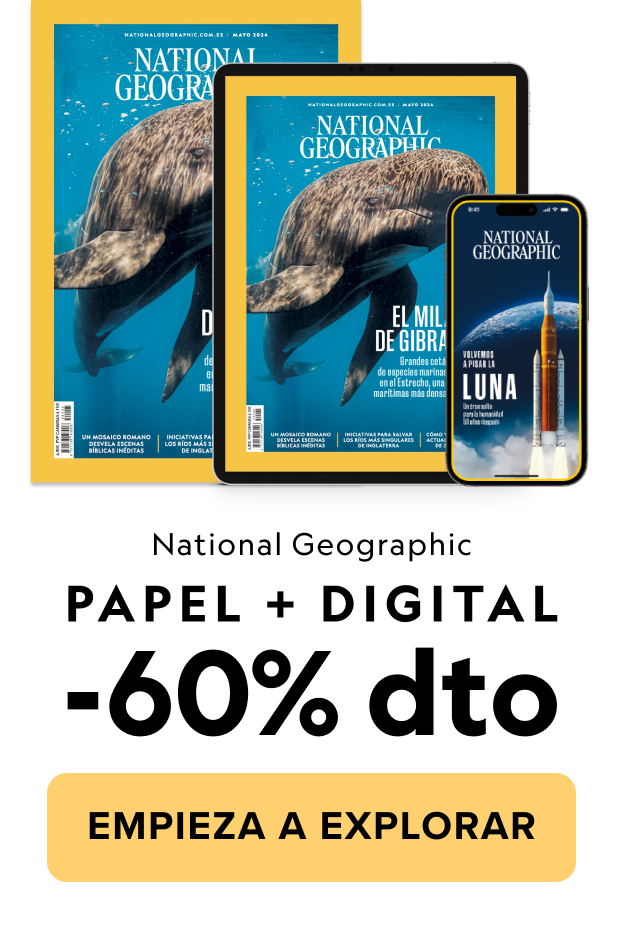 Papel + digital